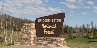 BIZARRE — AR-15 STANDOFF In The Woods Bridger-Teton National Forest entrance sign on a stone base