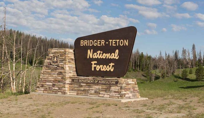 Bridger-Teton National Forest entrance sign on a stone base