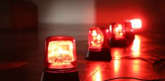 Predator Trap Springs — 9 Nabbed in STING Red emergency beacons on a floor