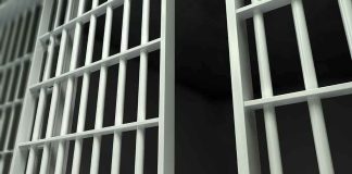 Prison cell bars in close-up