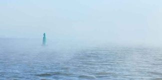 NAVY SAYS Hormuz Mines Cleared — VERIFIED? Green buoy in foggy sea