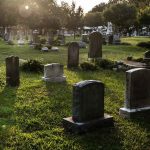 Gravestones in a sunlit cemetery