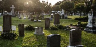 DESPICABLE — Grave Raiders FINALLY Caught Gravestones in a sunlit cemetery