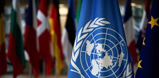 United Nations flag among international flags