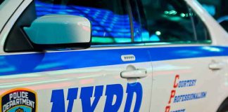 She Grabbed A Boy From His Grandma — She Picked The Wrong FAMILY NYPD patrol car side with blue stripe and door lettering