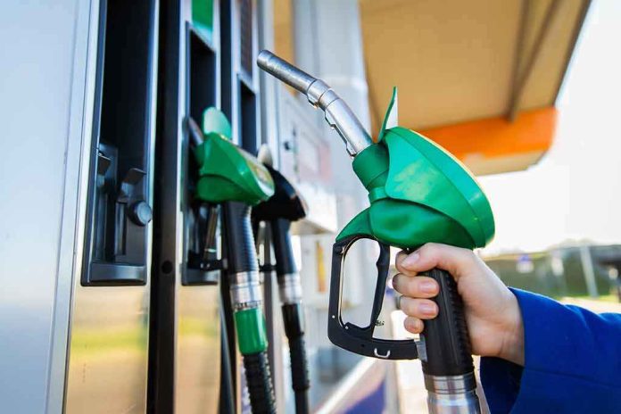 shutterstock_349598420 Fuel pump nozzle held at a gas station