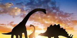 The Dinosaurs Leave Town Today — A Whole City Begged Them To STAY dinosaur silhouettes at sunset