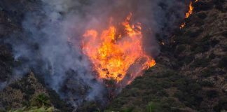 LA Crews Contained A Small Fire — Six Days Later People Were DEAD Wildfire burning on a hillside near homes