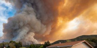 Neighbor CHARGED In Forest Fire. Then They Searched His HOME Suburban house under towering wildfire smoke plume