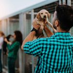 Puppy Lured and Run Over by Old Lady! Man holding a puppy at an animal shelter