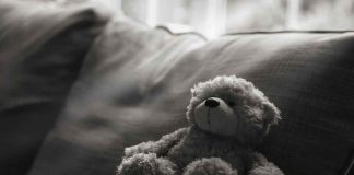 teddy bear on a sofa